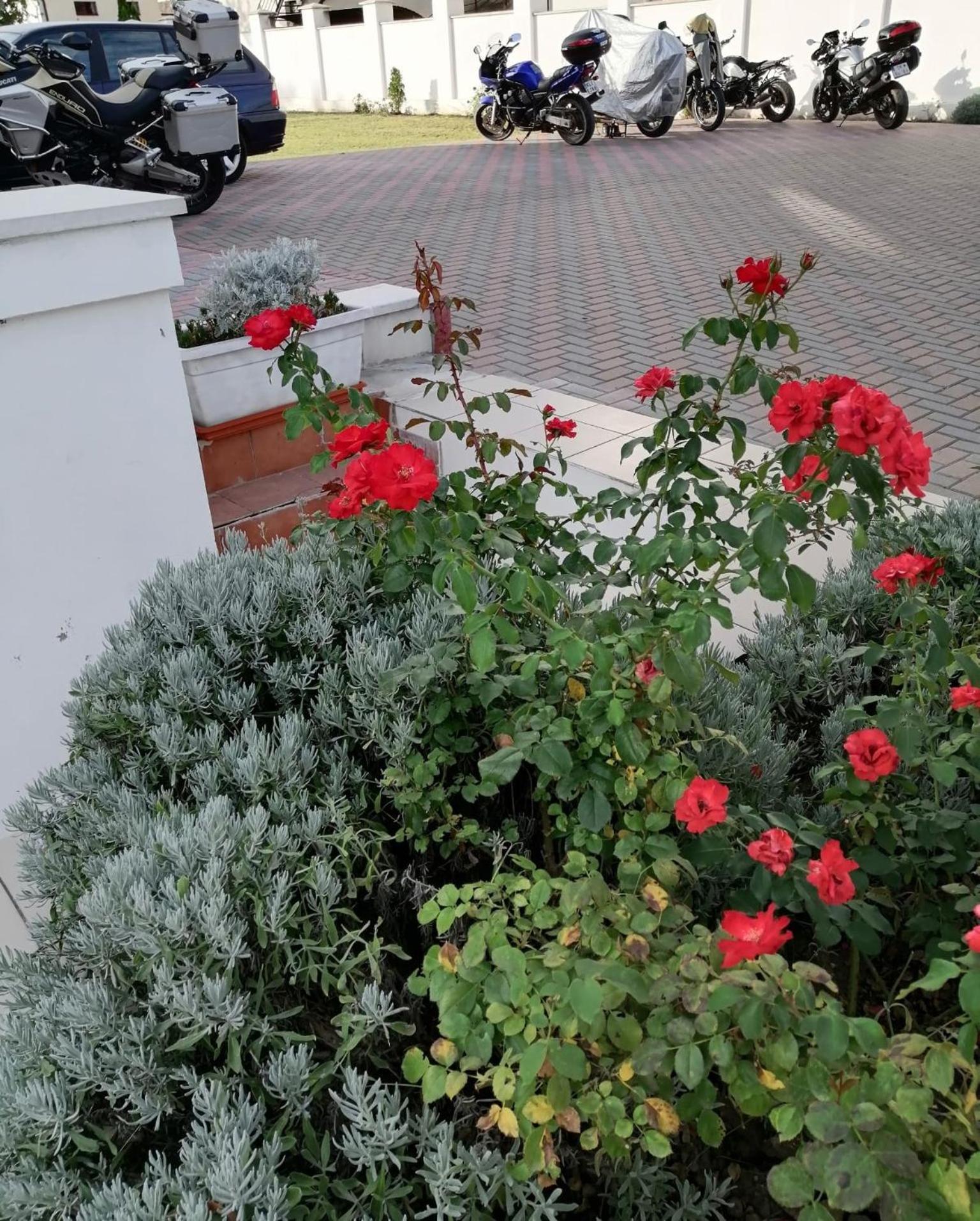 Vila Family Cricova المظهر الخارجي الصورة